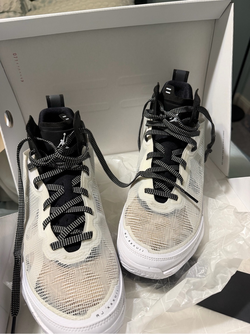 Jordan Adult Lightweight Mesh Basketball Shoes - Black & White